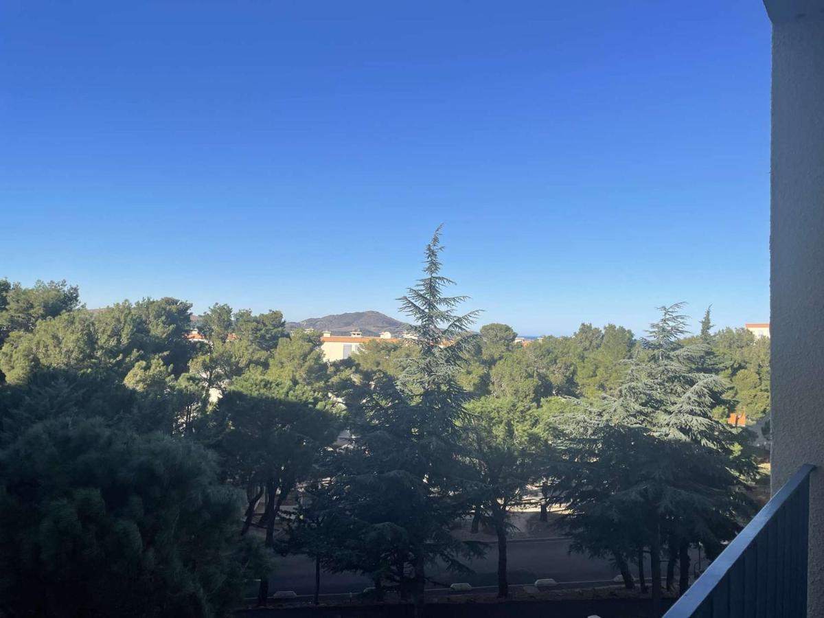 Appartement Renove Avec Clim, Parking Et Terrasse A 500M Du Port - Fr-1-225C-113 Banyuls-sur-Mer Buitenkant foto