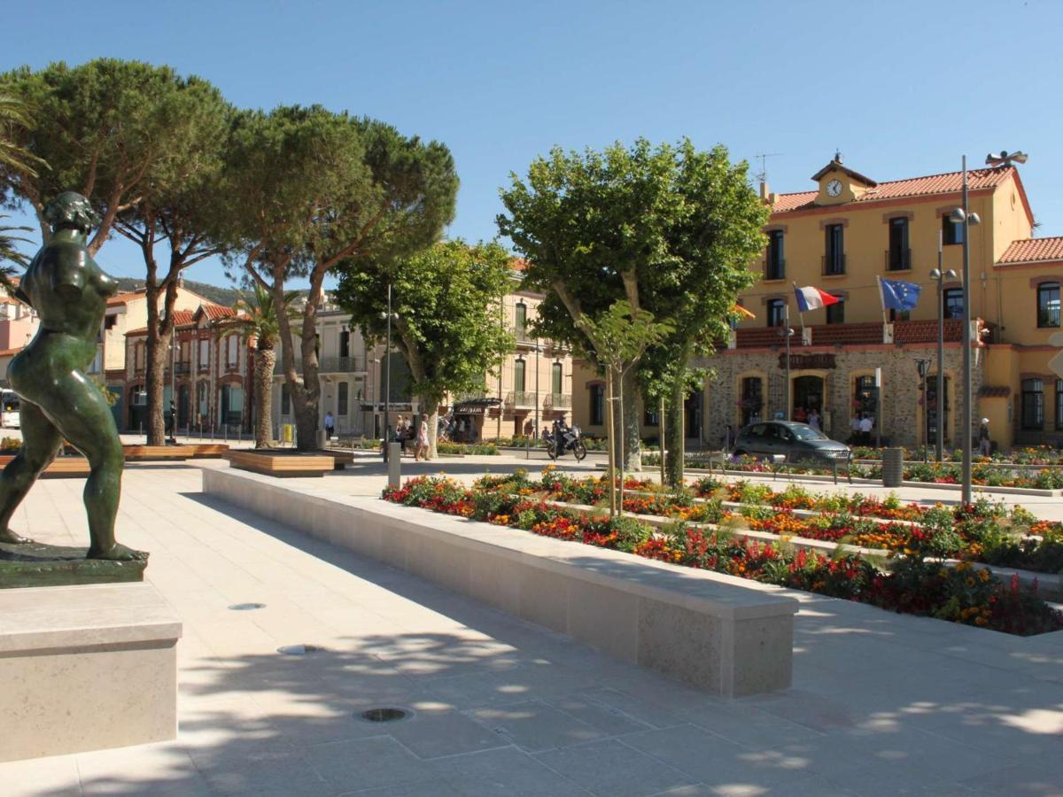 Appartement Renove Avec Clim, Parking Et Terrasse A 500M Du Port - Fr-1-225C-113 Banyuls-sur-Mer Buitenkant foto